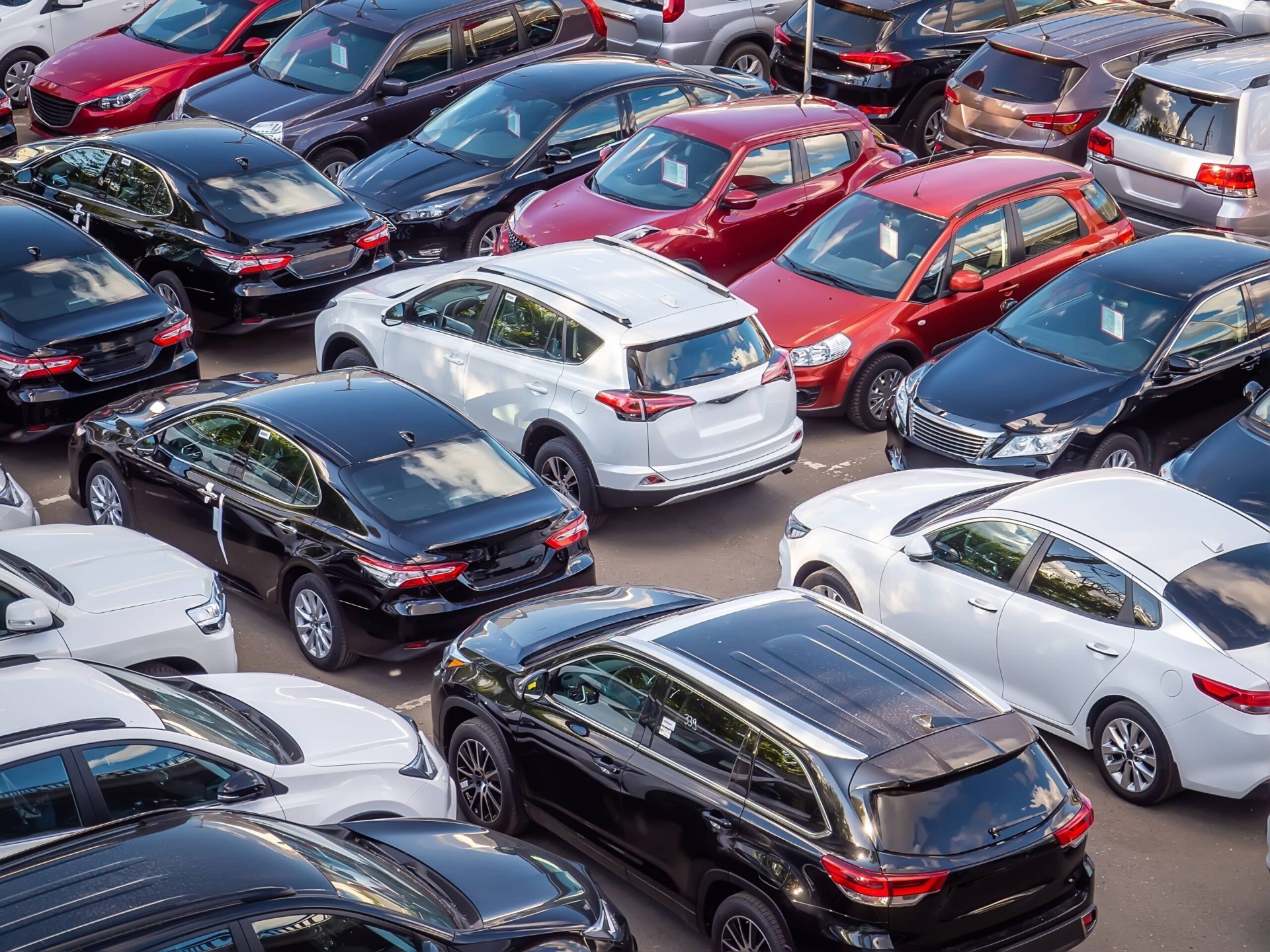Inventory of new vehicles ready for distribution